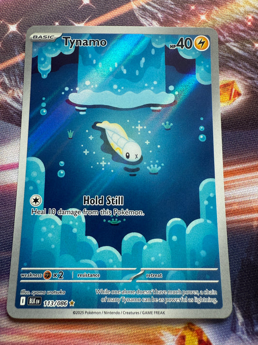 Wine Drape Skirt  Set